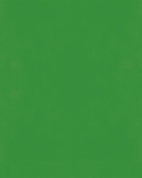Hatte Me! Palette | 15 Midori